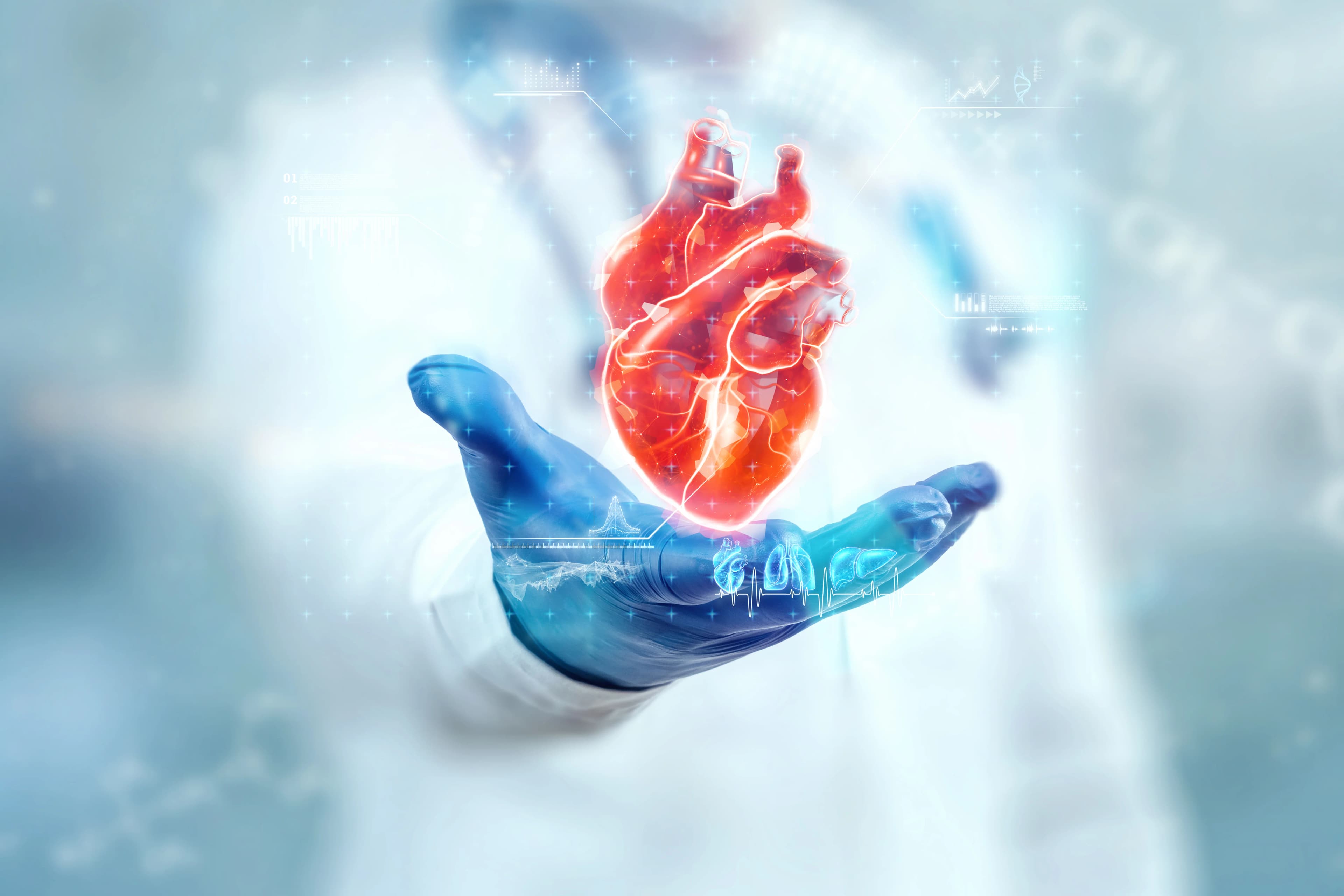 Cardiology SEO Strategy for Hospitals and Heart Clinics